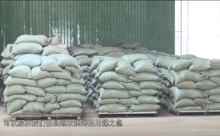 造粒机生产下来的生物质燃料颗粒，可以解决全县烟农烘烤的用煤之急，用它替代煤来烤烟，可以解决2万亩烤烟的烘烤燃料.jpg